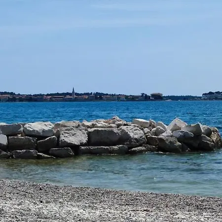 Allegra Villa