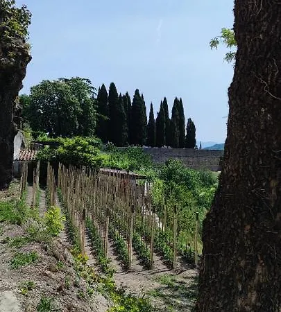 Villa Allegra *