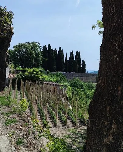 Villa Allegra *